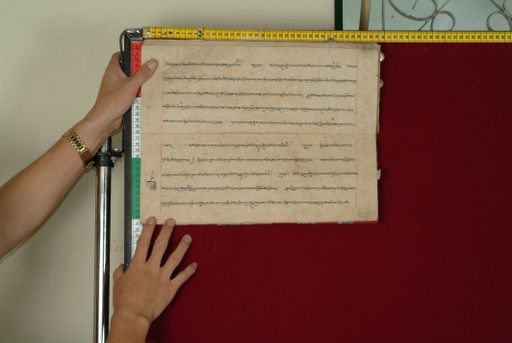 canvas: 0842ak_LTWA_34