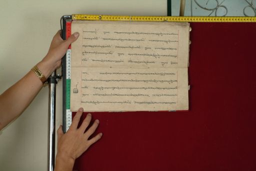 canvas: 0842ah_LTWA_34