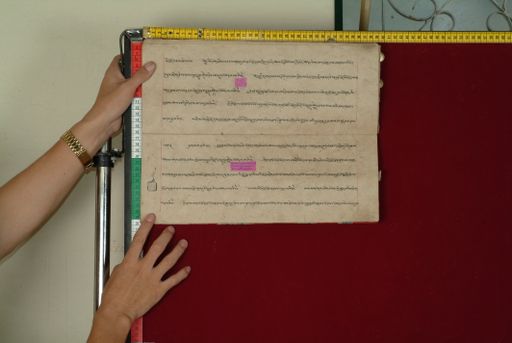 canvas: 0842ac_LTWA_34