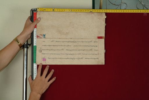 canvas: 0842x_LTWA_34