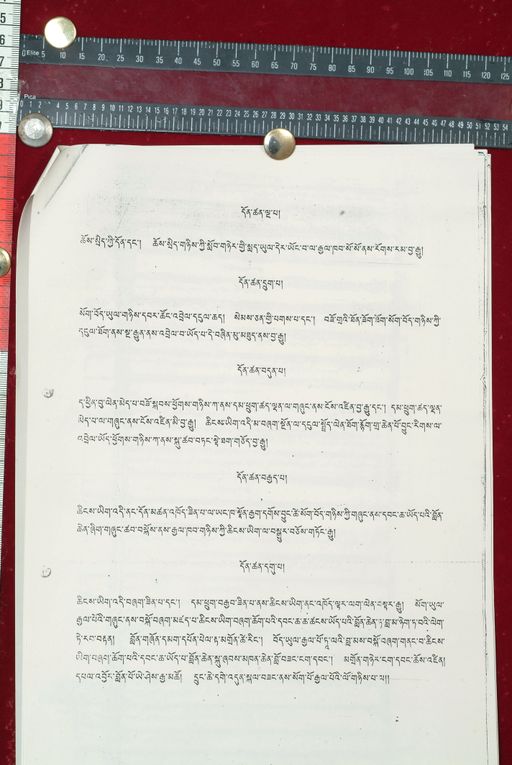 canvas: 1592b_LTWA_833