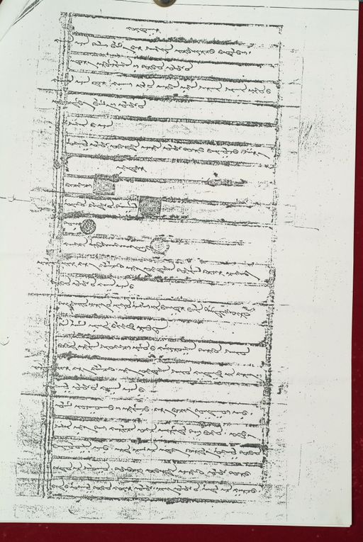 canvas: 1592f_LTWA_833