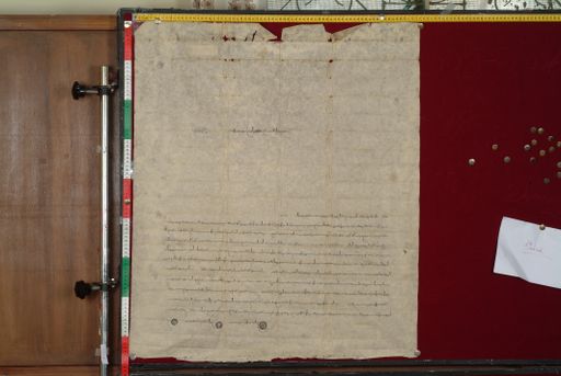 canvas: 1593c_LTWA_834