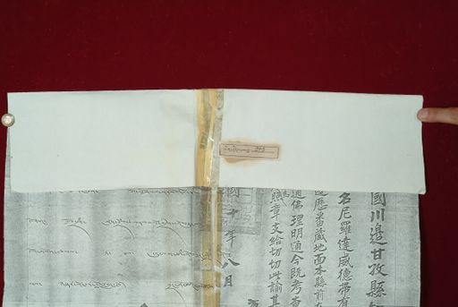 Library of Tibetan Works and Archives (LTWA) ID 4284 (0929_LTWA_101)