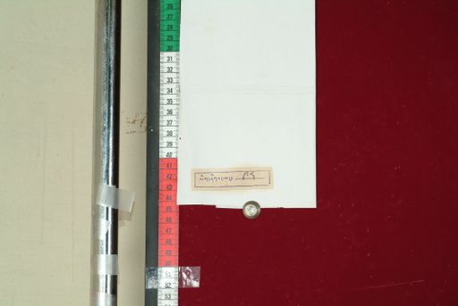 Library of Tibetan Works and Archives (LTWA) ID 4288 (0926_LTWA_98)