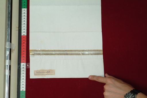 Library of Tibetan Works and Archives (LTWA) ID 4289 (0927_LTWA_99)