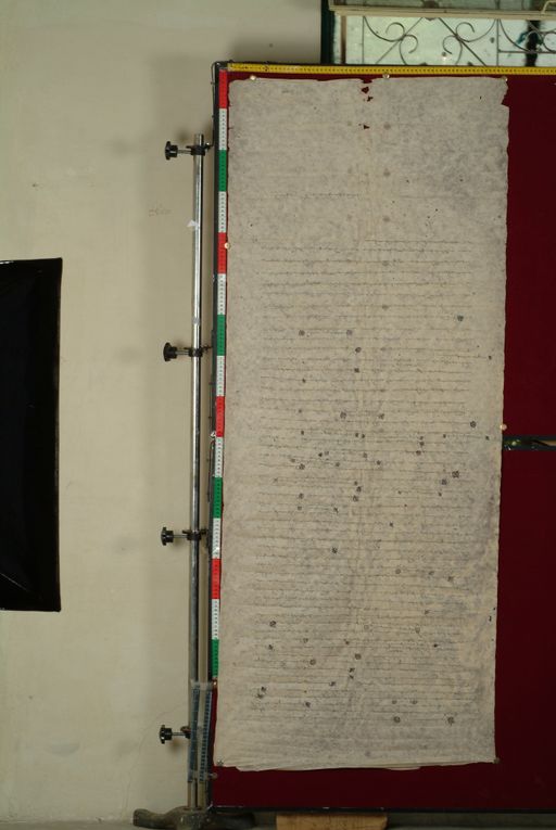 canvas: 1152b_LTWA_363