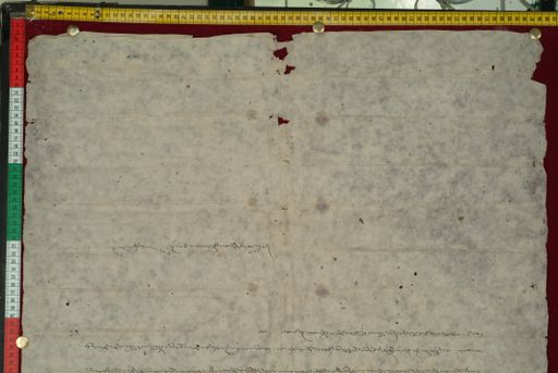 canvas: 1152c_LTWA_363