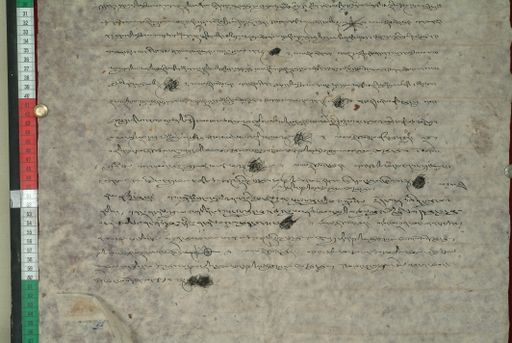 canvas: 1155e_LTWA_366