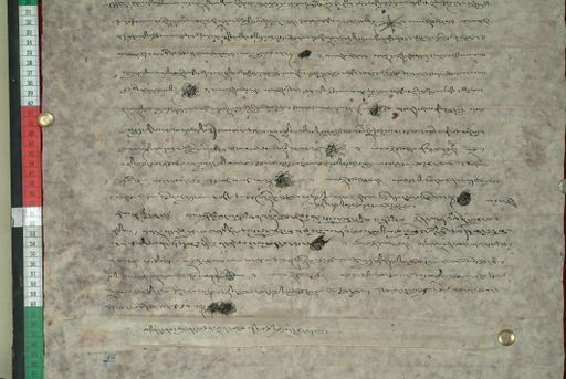 canvas: 1155f_LTWA_366