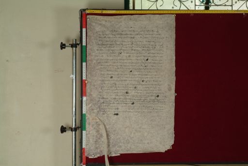 canvas: 1155b_LTWA_366