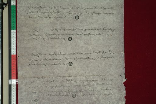 canvas: 1154c_LTWA_365