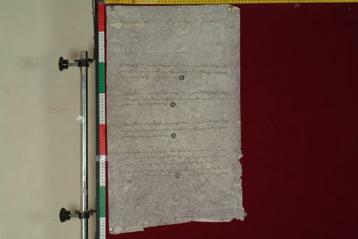 canvas: 1154b_LTWA_365