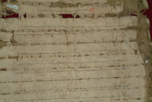 canvas: 1159c_LTWA_370