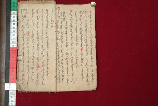 canvas: 1510o_LTWA_752