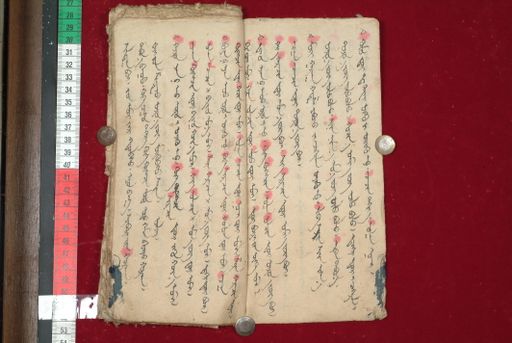 canvas: 1510r_LTWA_752