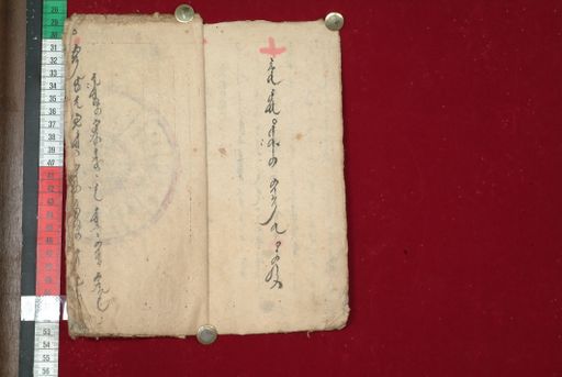 canvas: 1510n_LTWA_752