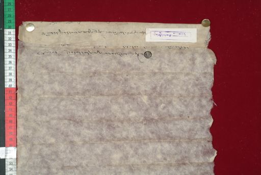 Library of Tibetan Works and Archives (LTWA) ID 4309 (1501_LTWA_743)