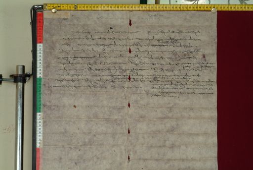 canvas: 0854d_LTWA_39_5