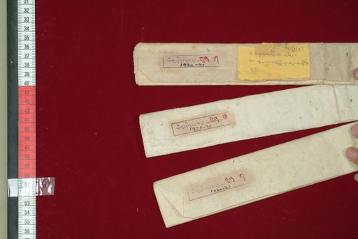 Library of Tibetan Works and Archives (LTWA) ID 4339 (0861_LTWA_42ka)