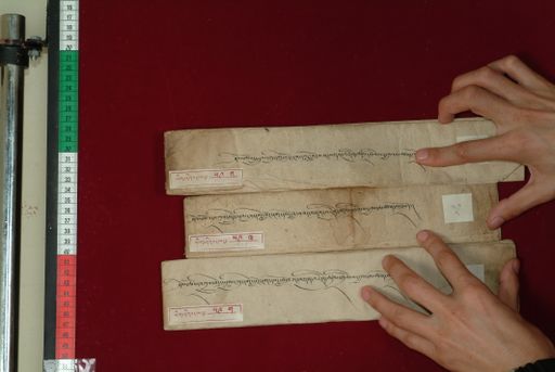 Library of Tibetan Works and Archives (LTWA) ID 4342 (0880_LTWA_59ka)