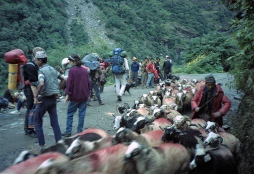 Avalanche Kaza (Kahlen_1010)