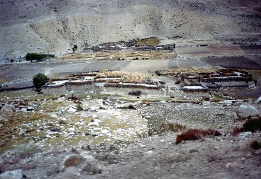 Dorf Kaza- Tingri (Kahlen_1019)