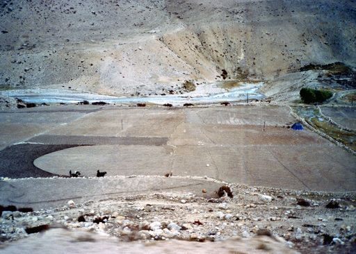 Felder Kaza Tingri (Kahlen_1020)