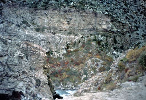 Herbstschlucht (Kahlen_1021)