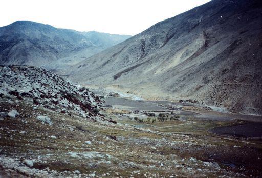 Tal Kaza- Tingri. (Kahlen_1037)