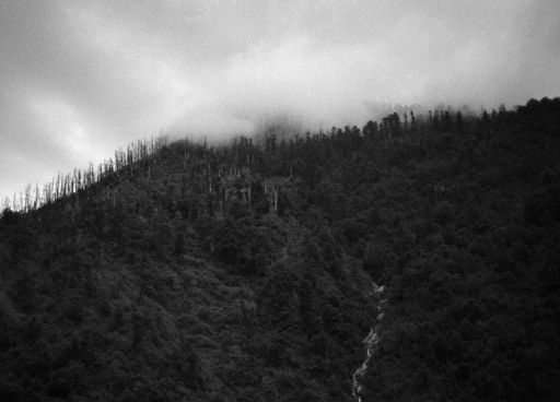 Wolken über Bergwald (Kahlen_1043)