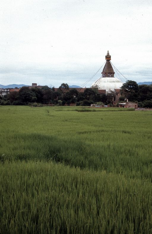 Bodnath (Kahlen_1060)