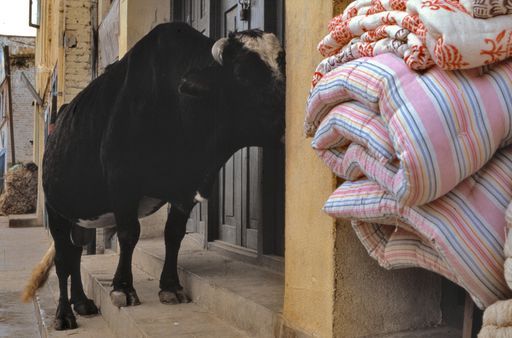 Bodnath (Kahlen_1065)