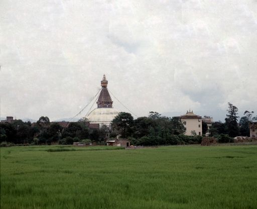 Bodnath (Kahlen_1071)