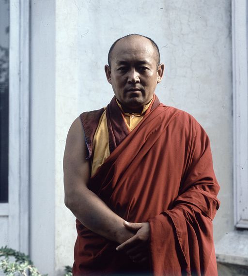 DelhiDRIKUN Grinp (Kahlen_1091)