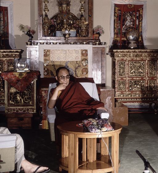 Delhi Dalai Lama (Kahlen_1104)
