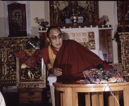 Delhi Dalai Lama (Kahlen_1106)