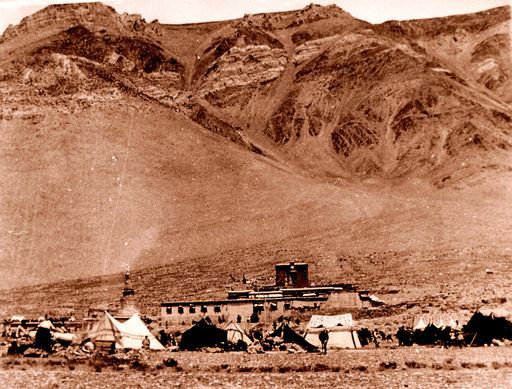 Dharamsala Library (Kahlen_1118)