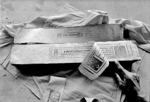 Dharamsala Library (Kahlen_1122)