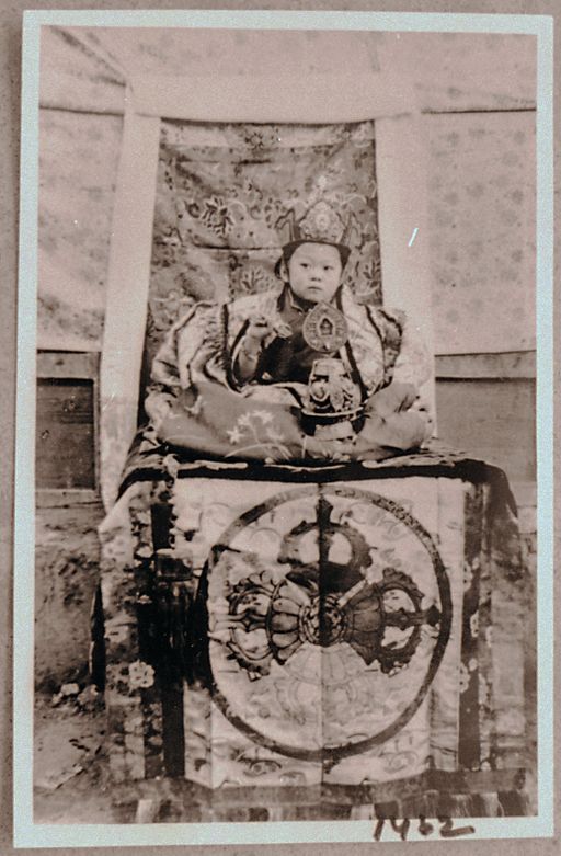 Dharamsala Library (Kahlen_1127)