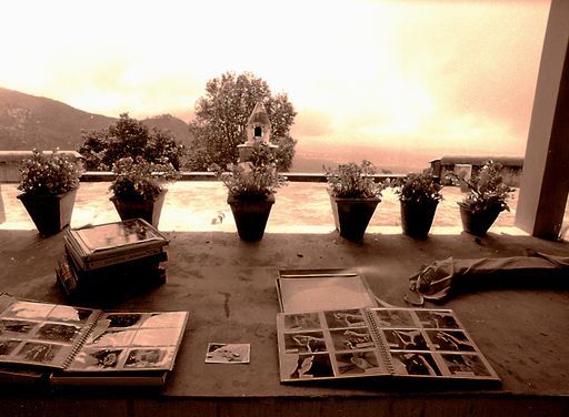 Dharamsala Library (Kahlen_1129)