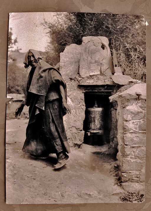Dharamsala Library (Kahlen_1130)