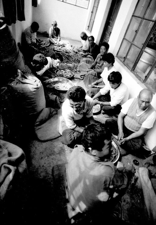 Dharamsala Medizin (Kahlen_1133)