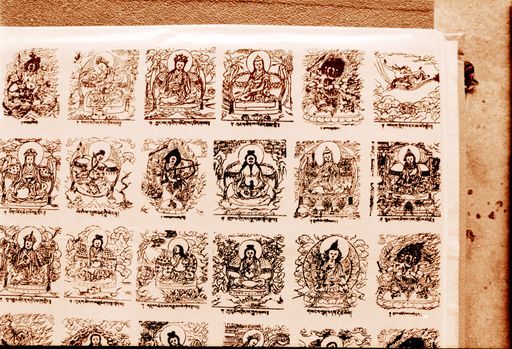 Dharamsala Medizin (Kahlen_1134)