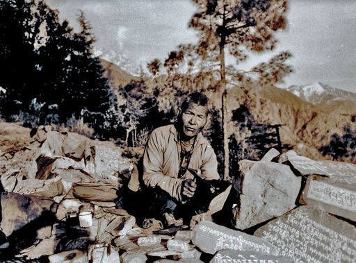 Dharamsala Medizin (Kahlen_1135)