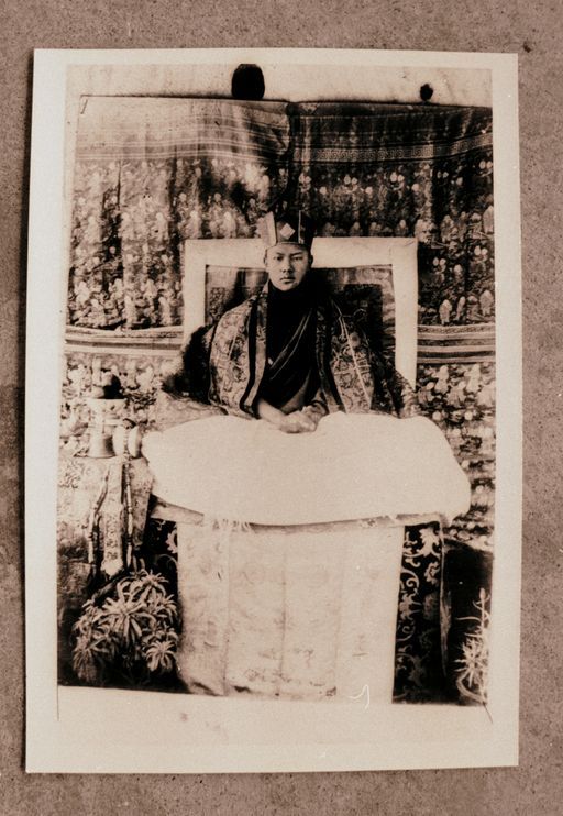 Dharamsala Medizin (Kahlen_1136)