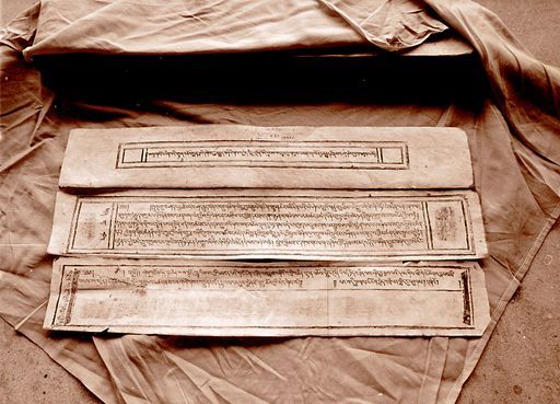 Dharamsala Medizin (Kahlen_1137)