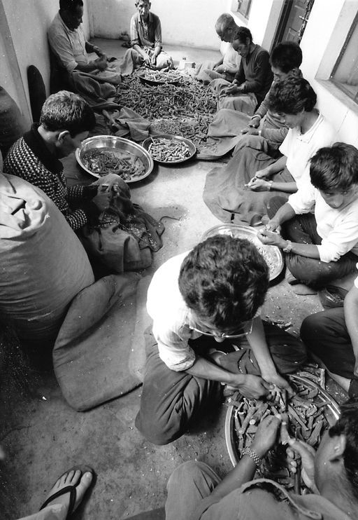 Dharamsala Medizin (Kahlen_1138)