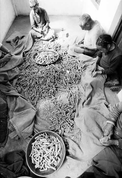 Dharamsala Medizin (Kahlen_1139)