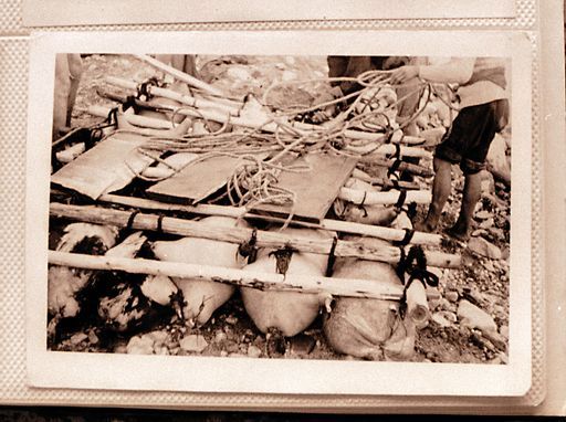 Dharamsala Medizin (Kahlen_1144)